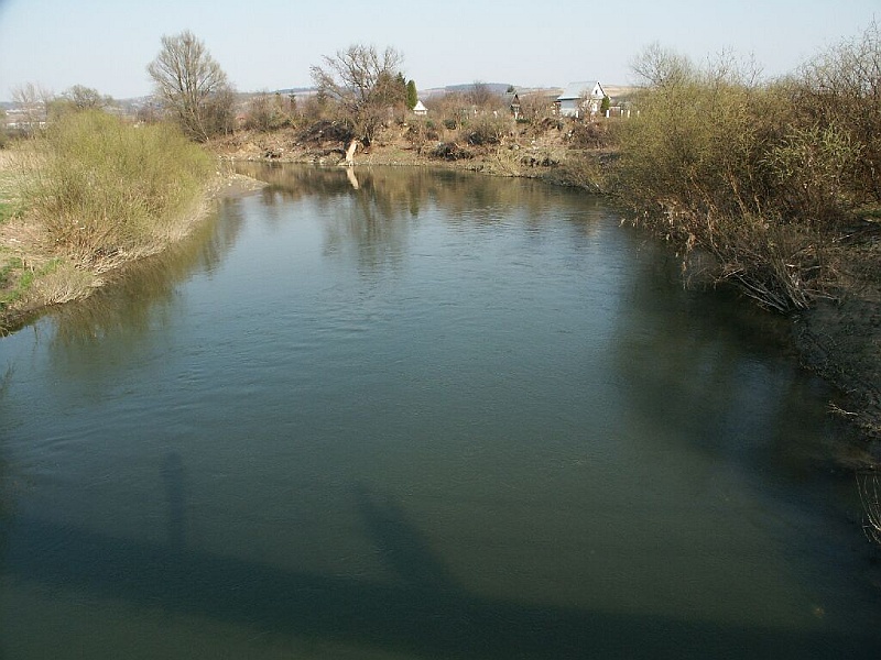 Koryto Wisloka z lawy pod Kosciolem 2.jpg - Wisłok. Widok z ławy w pobliżu kościoła.